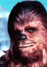 Mr. Wookiee
